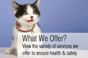 Sullivan Animal Clinic Services